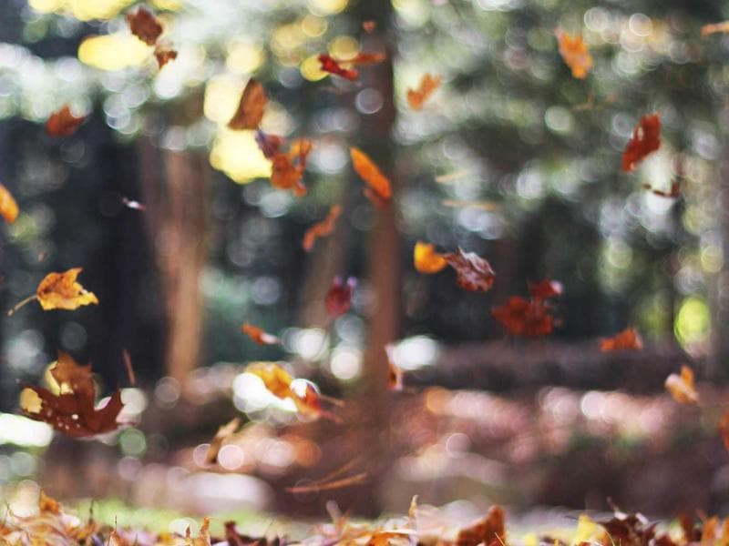 KTM 790 Duke — Front wheel, disc & tyre combo (2018–2021)