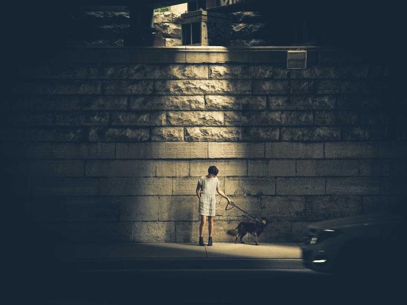 Triumph Bonneville T120 — OEM front & rear mudguard set